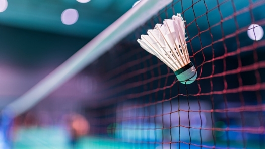 巴黎奥运会羽毛球赛参赛资格名单揭晓 中国队五项满额出征
